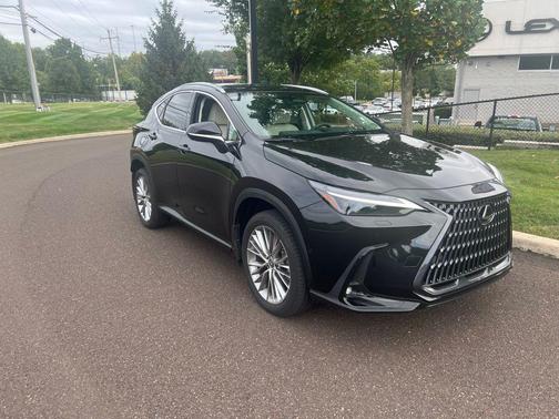 2025 Lexus NX 350 Luxury