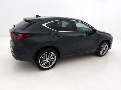 2025 Lexus NX 350 Luxury