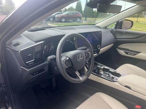 2025 Lexus NX 350 Luxury