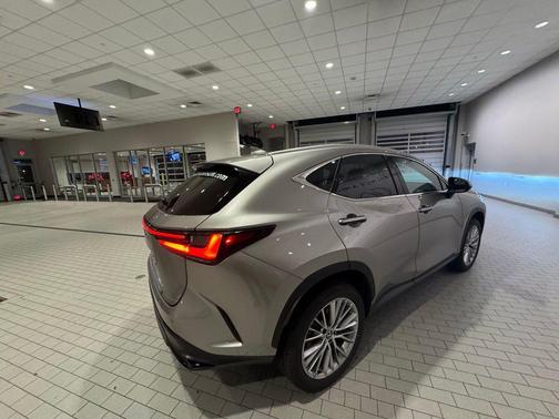 2025 Lexus NX 350 Premium