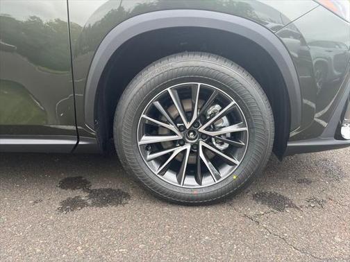 2025 Lexus NX 350h Premium