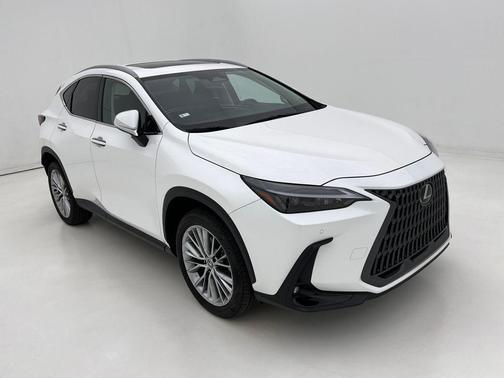 2025 Lexus NX 350 Premium