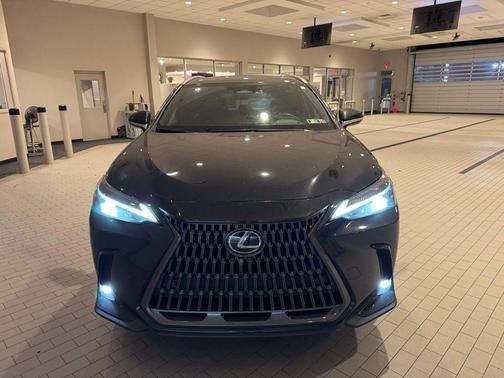 2024 Lexus NX 250 Premium