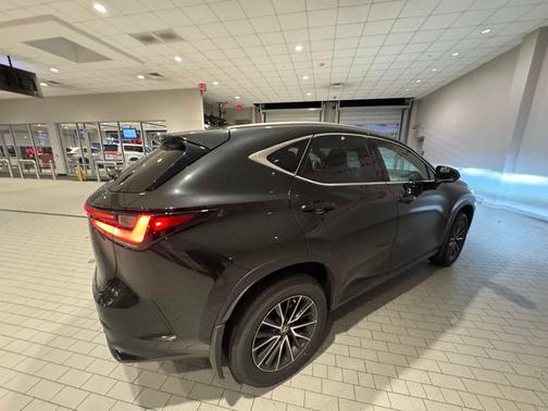 2024 Lexus NX 250 Premium