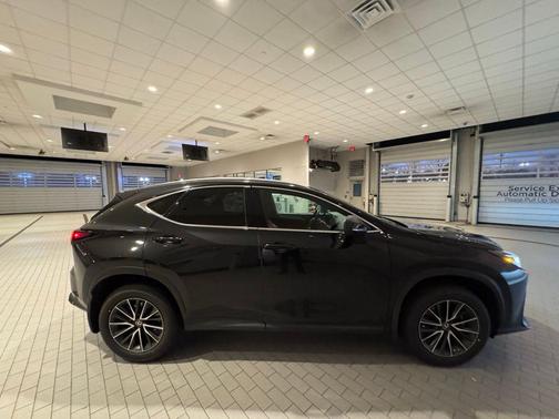 2024 Lexus NX 250 Premium