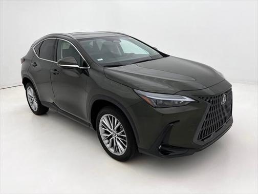 2025 Lexus NX 350 Premium