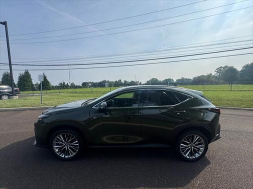 2025 Lexus NX 350 Premium