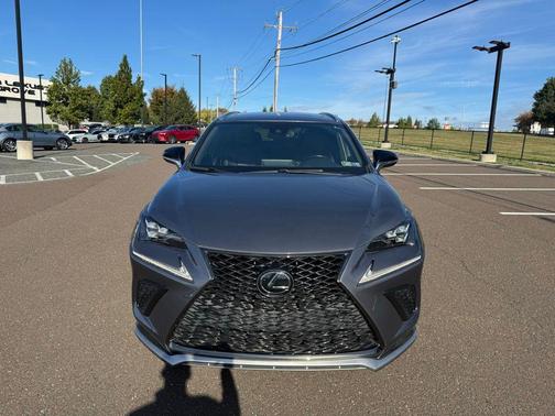 2021 Lexus NX 300 F Sport