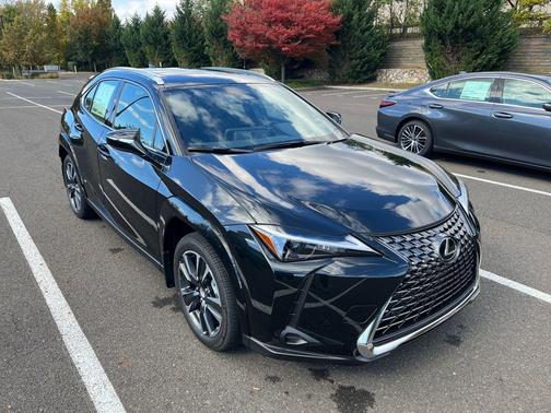 2025 Lexus UX 300h Premium
