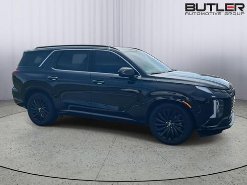 Abyss Black Pearl 2025 Hyundai PALISADE Calligraphy Night Edition