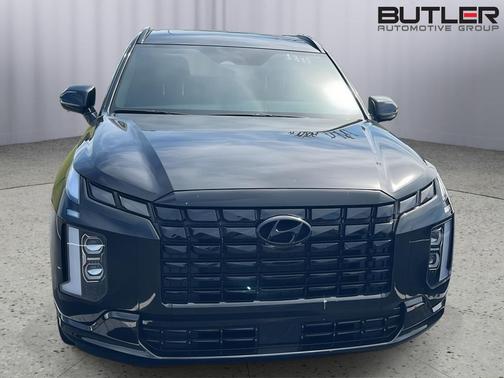 Abyss Black Pearl 2025 Hyundai PALISADE Calligraphy Night Edition