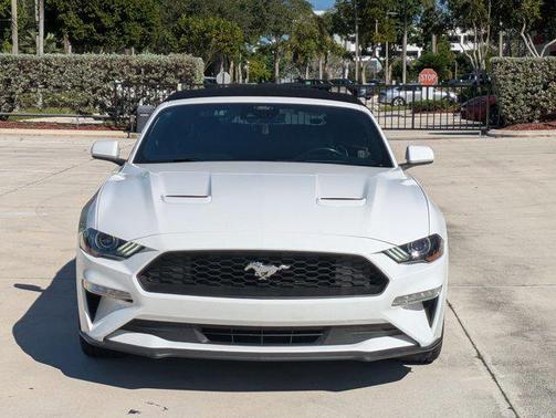 2022 Ford Mustang EcoBoost