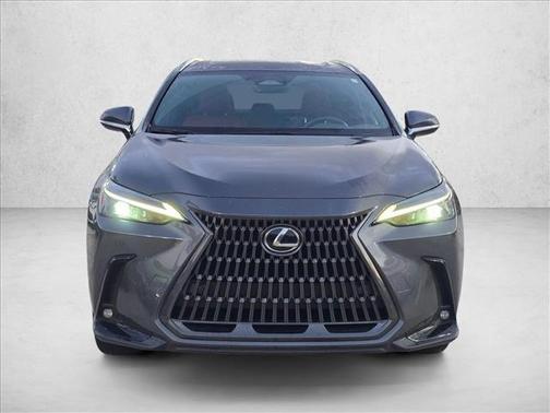 Cloudburst Gray 2025 Lexus NX 250 Premium