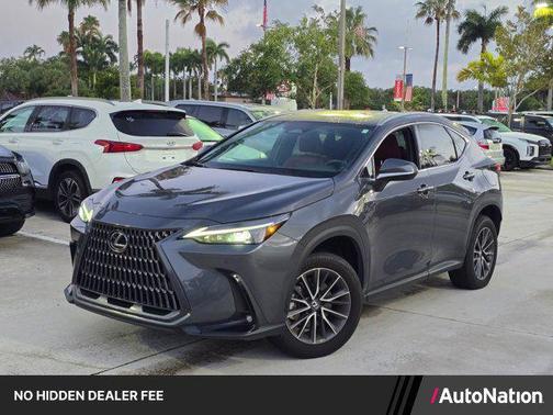 Cloudburst Gray 2025 Lexus NX 250 Premium