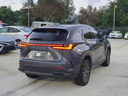 Cloudburst Gray 2025 Lexus NX 250 Premium