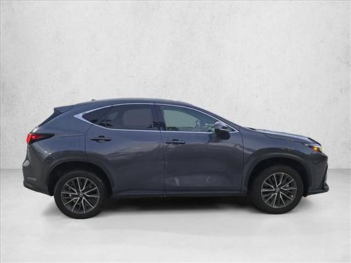 Cloudburst Gray 2025 Lexus NX 250 Premium