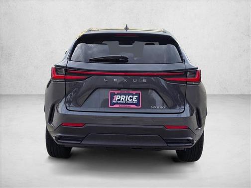 Cloudburst Gray 2025 Lexus NX 250 Premium
