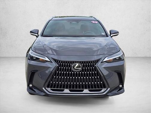 Cloudburst Gray 2025 Lexus NX 250 Premium