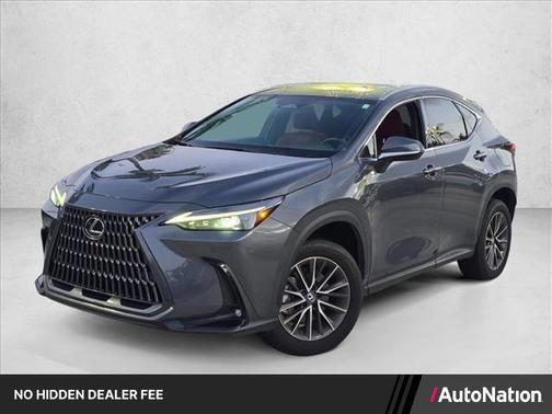 Cloudburst Gray 2025 Lexus NX 250 Premium
