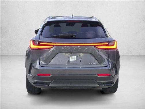 Cloudburst Gray 2025 Lexus NX 250 Premium
