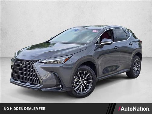 Cloudburst Gray 2025 Lexus NX 250 Premium