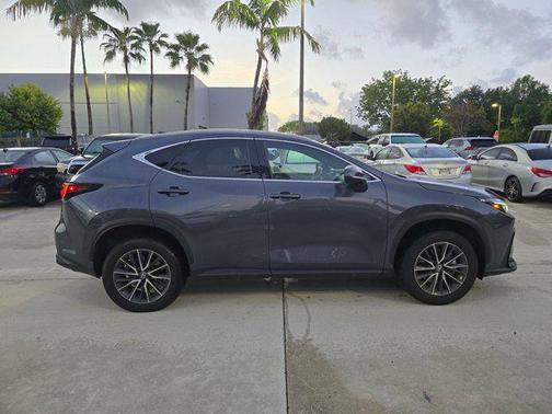 Cloudburst Gray 2025 Lexus NX 250 Premium