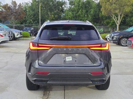 Cloudburst Gray 2025 Lexus NX 250 Premium