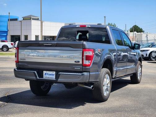 2021 Ford F-150 Platinum