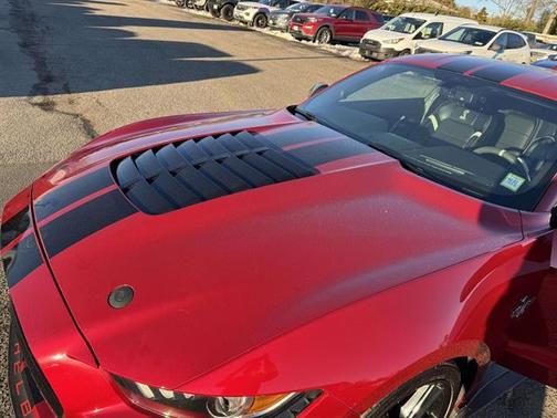 Rapid Red Metallic Tinted Clearcoat 2020 Ford Shelby GT500 Base