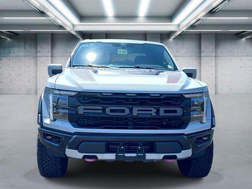 Avalanche Gray 2024 Ford F-150 Raptor