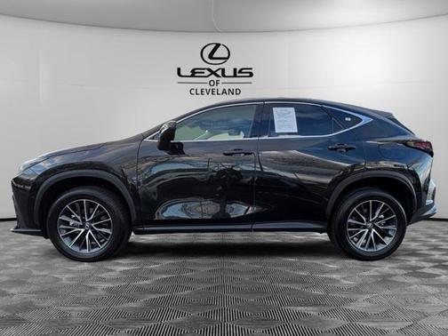 2025 Lexus NX 350 350 Base