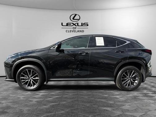 2024 Lexus NX 350h Premium