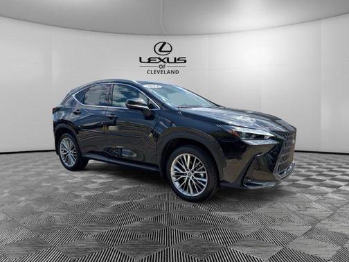 Caviar 2024 Lexus NX 350 Luxury