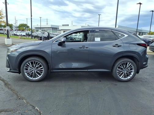 Cloudburst Gray 2026 Lexus NX 350 Premium