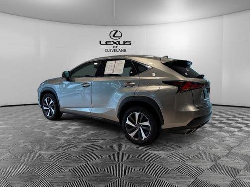 Atomic Silver 2019 Lexus NX 300 Base