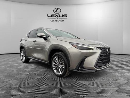 2023 Lexus NX 350 Luxury