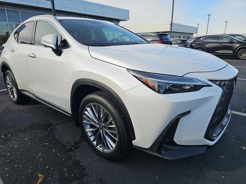 2025 Lexus NX 350 Premium
