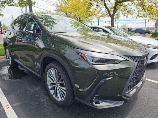 Nori Green Pearl 2024 Lexus NX 350 Luxury
