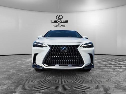 2025 Lexus NX 350 Luxury