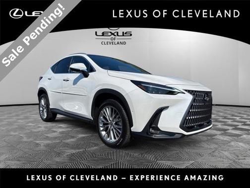 2025 Lexus NX 350 Luxury