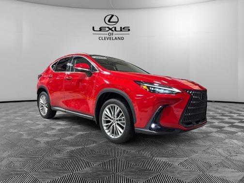 2025 Lexus NX 350h Luxury