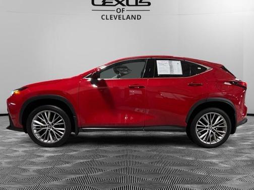 2025 Lexus NX 350h Luxury