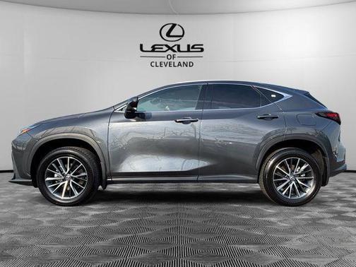 2025 Lexus NX 350 350 Base