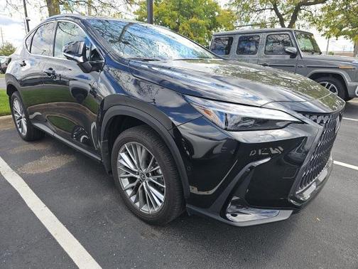 2025 Lexus NX 350h Luxury