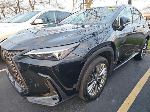 2022 Lexus NX 350 Premium