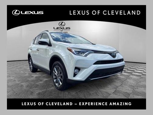Blizzard Pearl 2018 Toyota RAV4 Limited