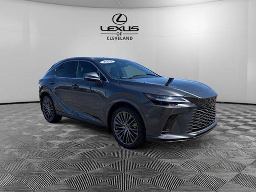 Cloudburst Gray 2025 Lexus RX 350 Luxury