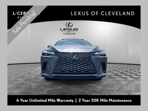 Nebula Gray Pearl 2023 Lexus RX 350 Premium