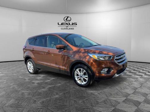 CANYON RIDGE METALLIC 2017 Ford Escape SE