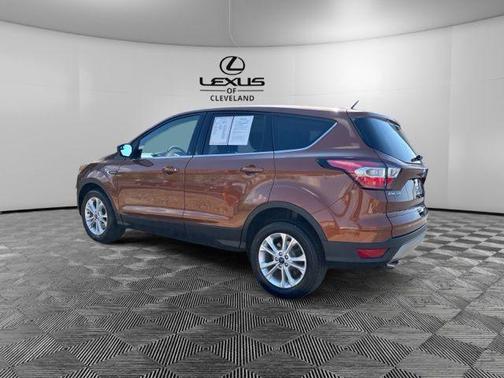 CANYON RIDGE METALLIC 2017 Ford Escape SE